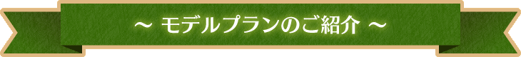 モデルプランのご紹介
