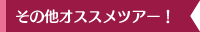 その他オススメツアー!