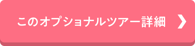 このオプショナルツアー詳細