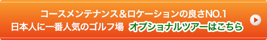 ܿͤ˿͵No.վ쥪ץʥĥϤ