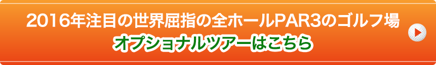 ܿͤ˿͵No.վ쥪ץʥĥϤ