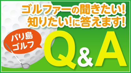 ����ե�����ʹ���������Τꤿ�����������ޤ����Х��祴���Q&A