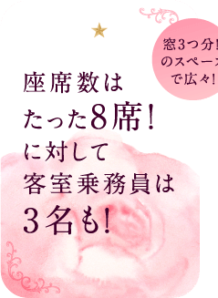 座席数はたった8席!に対して客室乗務員は3名も!