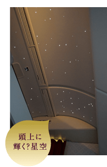 頭上に輝く?星空