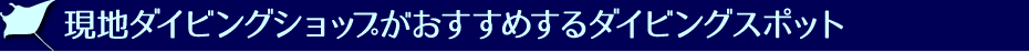 現地ダイビングショップがおすすめするダイビングスポット