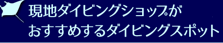 現地ダイビングショップがおすすめするダイビングスポット