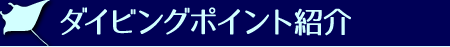 ダイビングポイント紹介