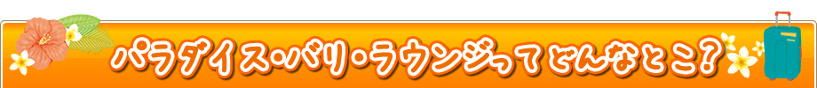 パラダイスバリラウンジってどんなとこ？