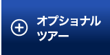 オプショナルツアー