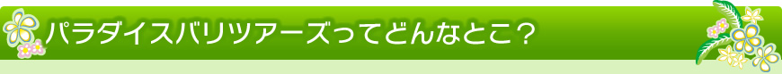 パラダイスバリツアーズってどんなとこ？