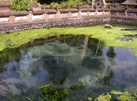 ティルタ・ウンプル寺院 イメージ画像