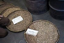 アロマ・コーヒー 8年乾燥させたアラビカと5年乾燥のロブスタ