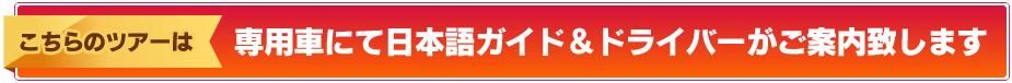 こちらのツアーは 専用車にて日本語ガイド＆ドライバーがご案内致します