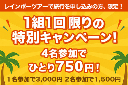【キャンペーン！】人気の4時間日本語ガイドチャーターが1組1回申し込み限定で大特価！4人で申し込むとなんと一人750円！